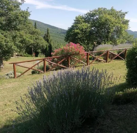 スタンダードルーム, Agriturismo Badia Ficarolo