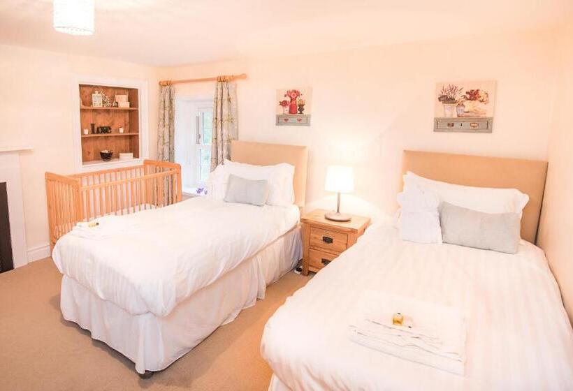 Дом 2 Спальни, Springkell