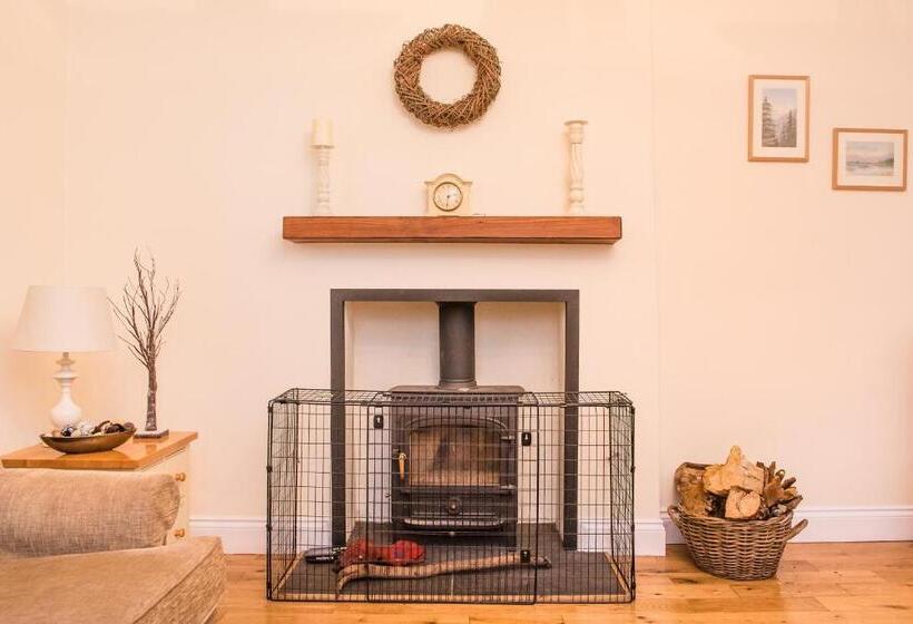 Дом 2 Спальни, Springkell