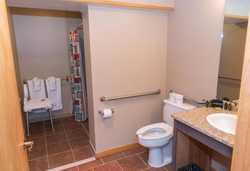 غرفة قياسية سرير كينج لذوى الإحتياجات الخاصة, Sugarloaf Inn