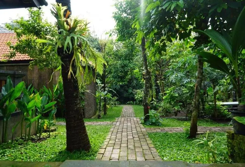 デラックスルーム, Ary House Ubud