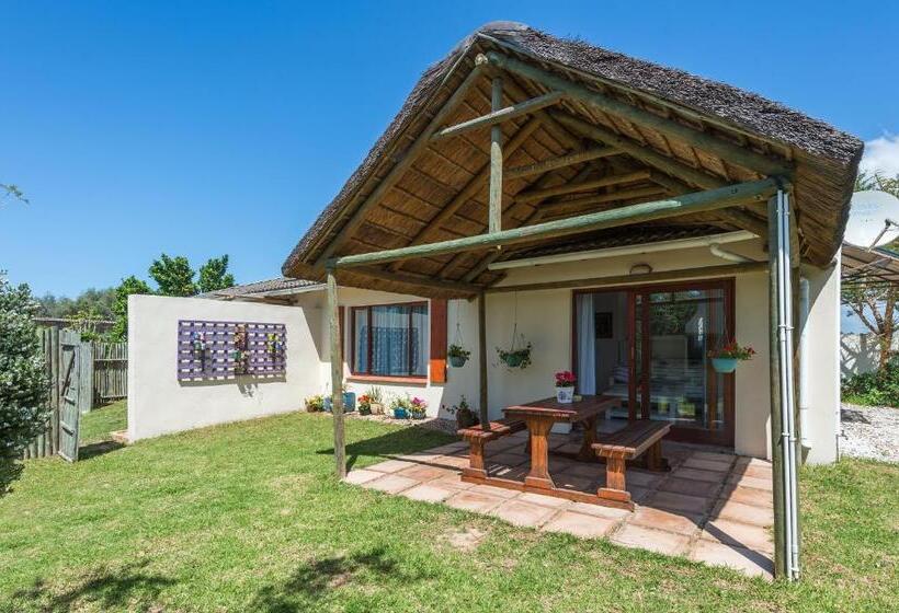 キャビン, Happy Jackal