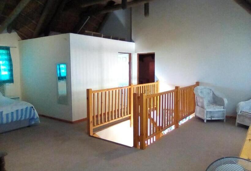 ３ベッドルームハウス, Happy Jackal