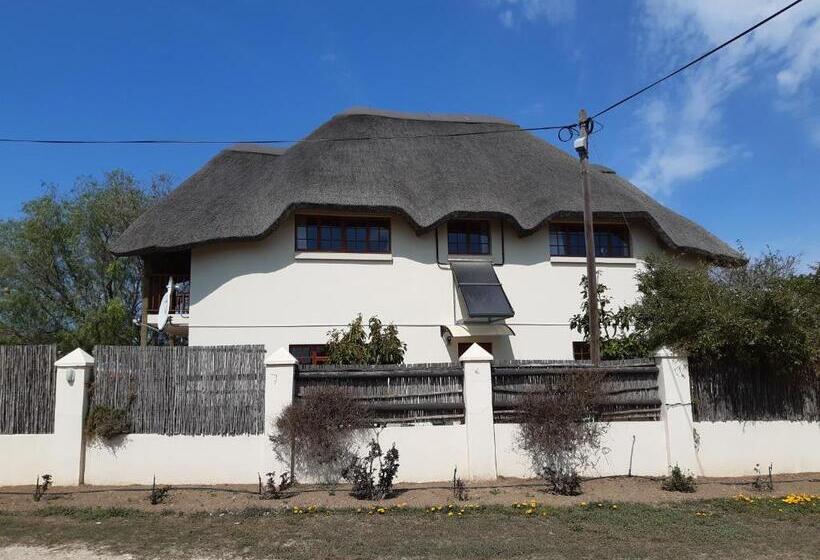 ３ベッドルームハウス, Happy Jackal