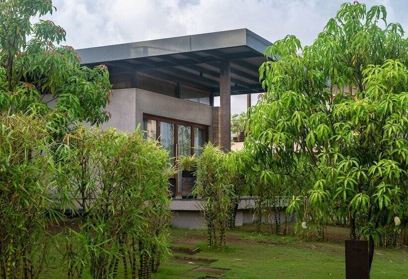 סטודיו סטנדרט מיטה זוגית, Woods At Sasan