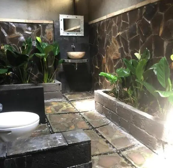 プールビュースタンダードステューディオ, Green Paddy Hostel & Villa