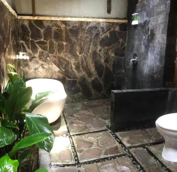 プールビュースタンダードステューディオ, Green Paddy Hostel & Villa