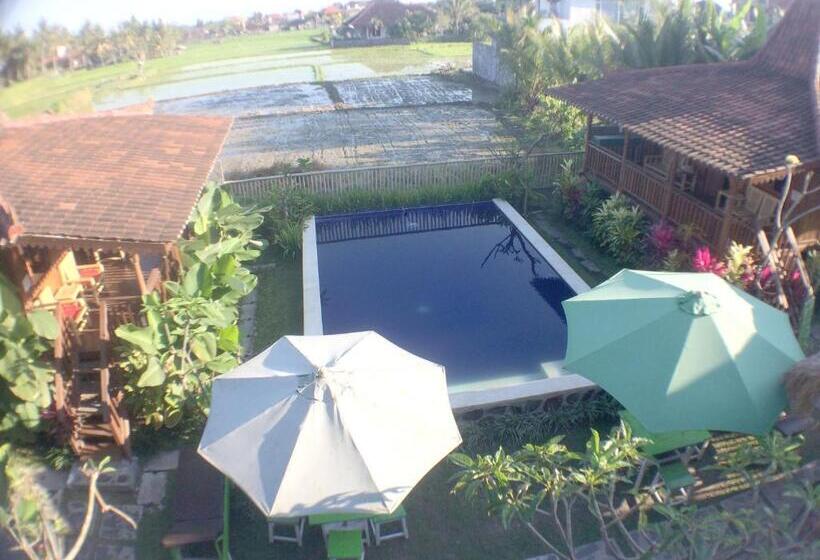 סטודיו סטנדרט נוף לים, Green Paddy Hostel & Villa