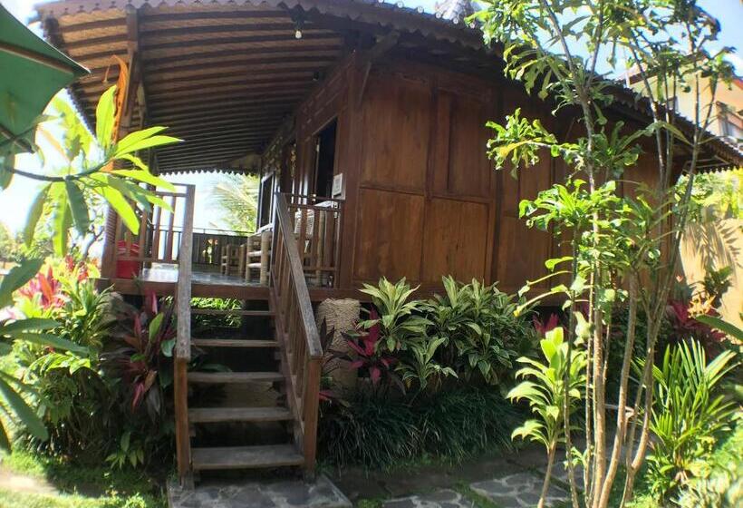 Студио Стандарт Вид на Бассейн, Green Paddy Hostel & Villa
