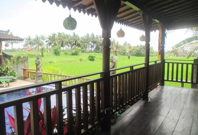 סטודיו סטנדרט נוף לים, Green Paddy Hostel & Villa