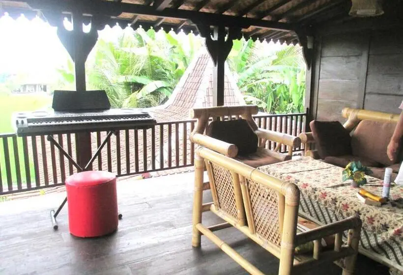 ルームシェアのワンベッド, Green Paddy Hostel & Villa