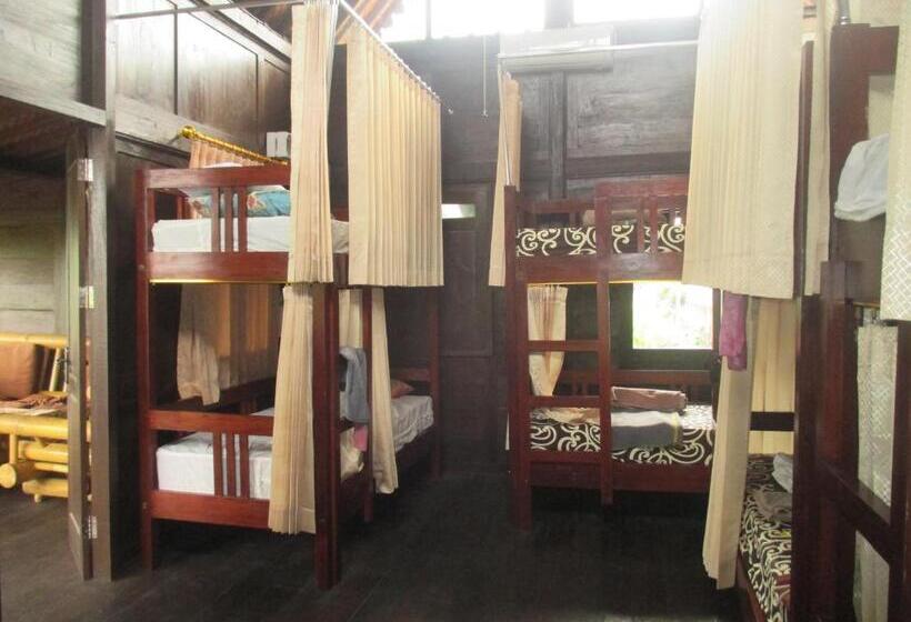 מיטה בחדר משותף, Green Paddy Hostel & Villa