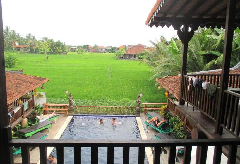 מיטה בחדר משותף, Green Paddy Hostel & Villa