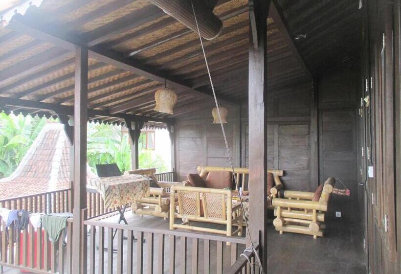 מיטה בחדר משותף, Green Paddy Hostel & Villa