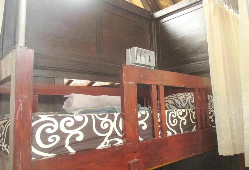 מיטה בחדר משותף, Green Paddy Hostel & Villa