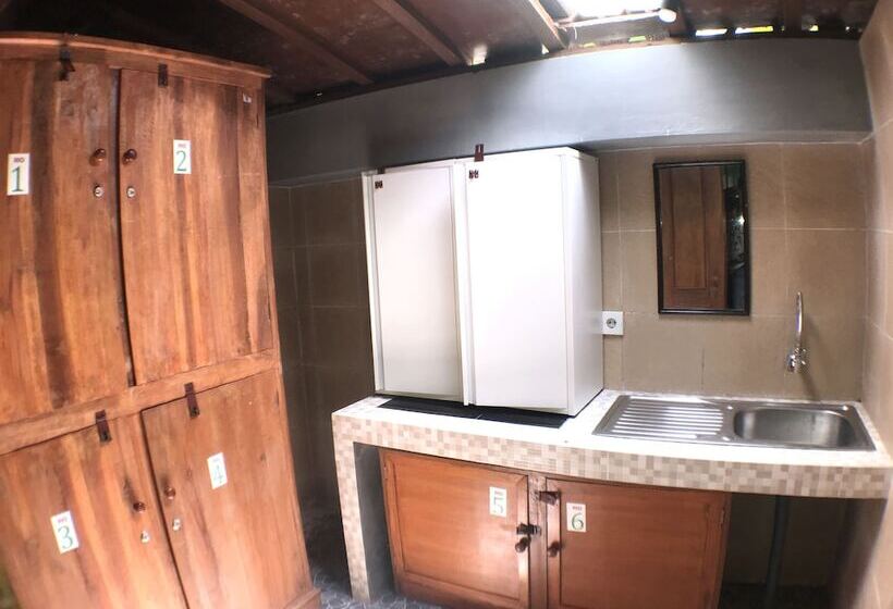 מיטה בחדר משותף, Green Paddy Hostel & Villa