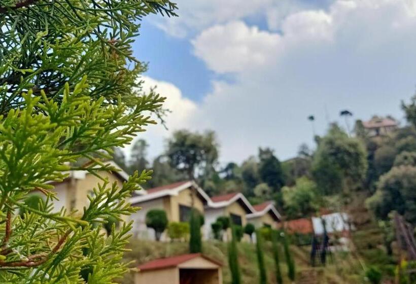 プレジデントスイートルーム, Skywood Resort Shoghi