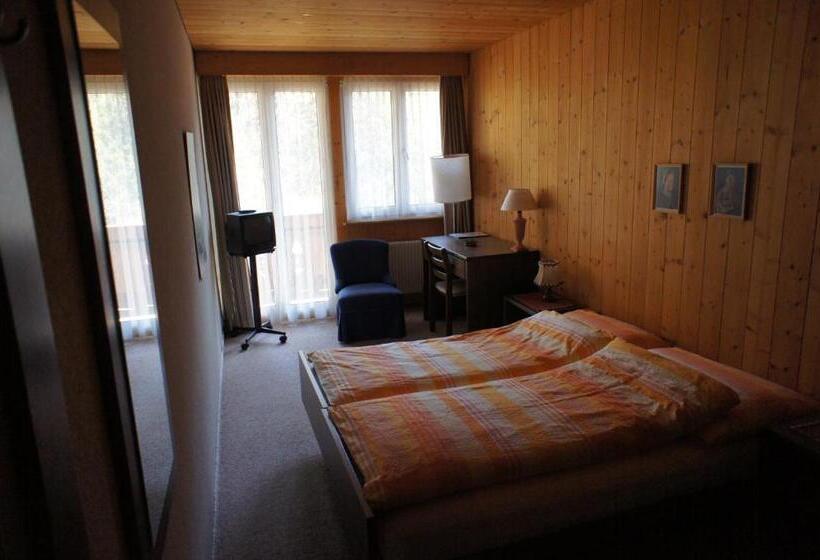 غرفة سوبيريور ذات إطلالة, Bellary