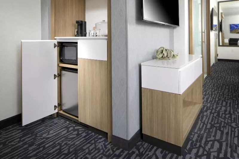 اتاق استاندارد برای معلولان, Holiday Inn Helsinki City Centre, An Ihg