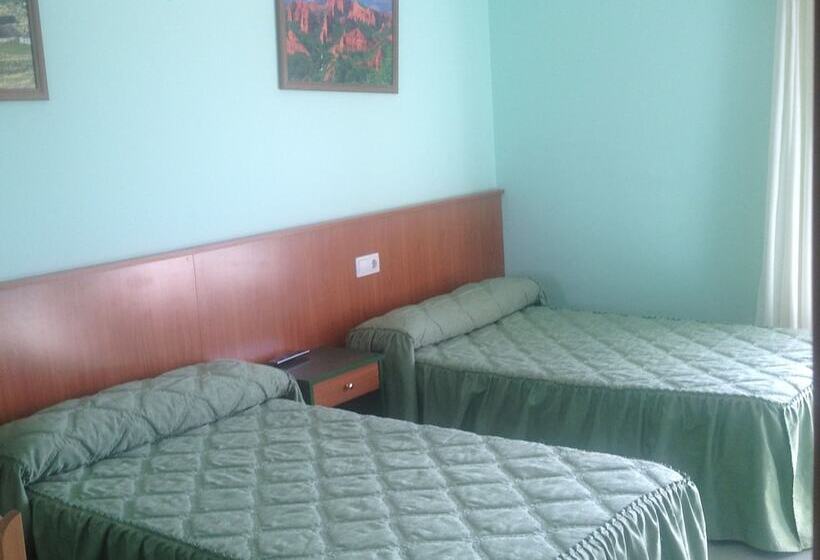 エコノミーシングルルーム, Medulio