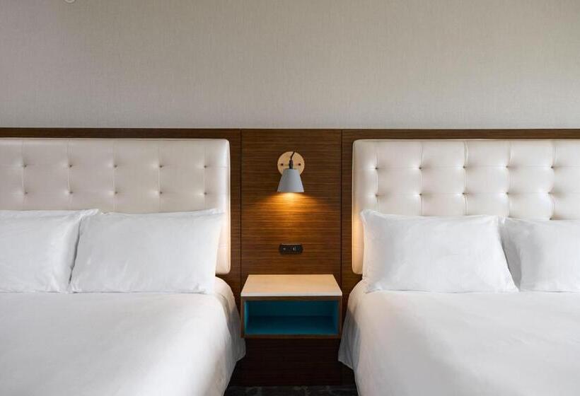 スタンダードルーム, Renaissance Meadowlands