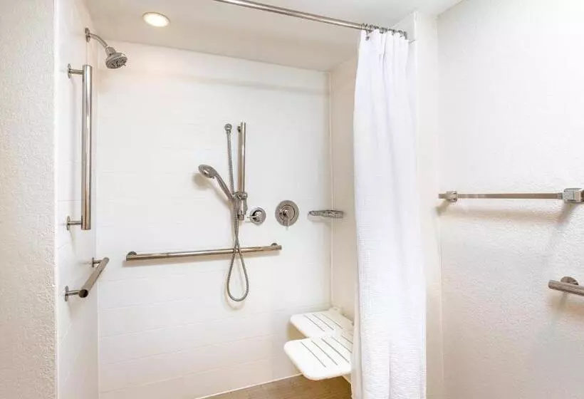 سوئیت با تخت بزرگ, Springhill Suites By Marriott Miami Airport South Blue Lagoon Area