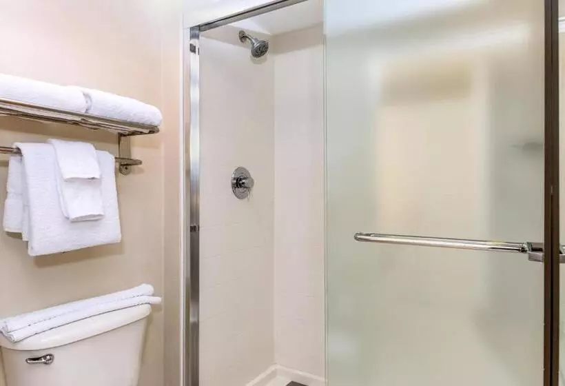 سوئیت با تخت بزرگ, Springhill Suites By Marriott Miami Airport South Blue Lagoon Area