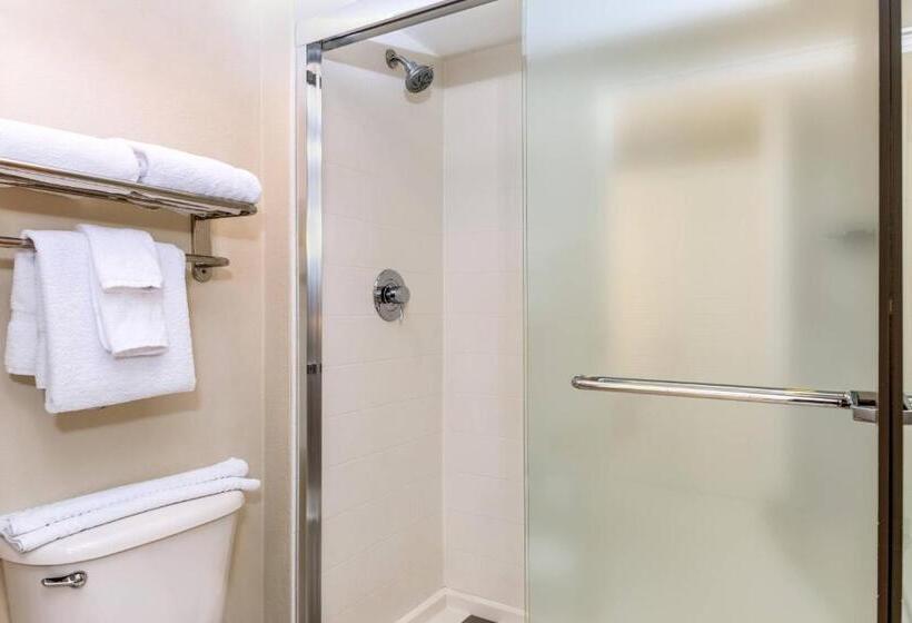 스위트, Springhill Suites By Marriott Miami Airport South Blue Lagoon Area