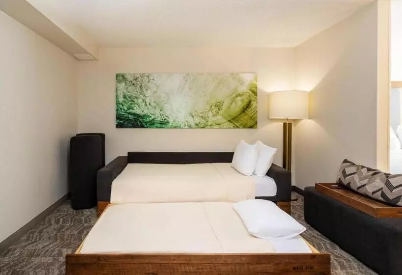 سوییت, Springhill Suites By Marriott Miami Airport South Blue Lagoon Area