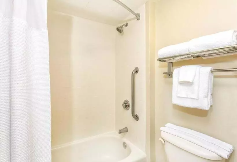 سوییت اجرایی, Springhill Suites By Marriott Miami Airport South Blue Lagoon Area