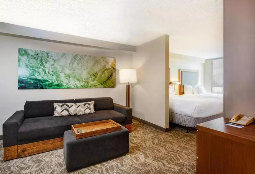 سوییت اجرایی, Springhill Suites By Marriott Miami Airport South Blue Lagoon Area