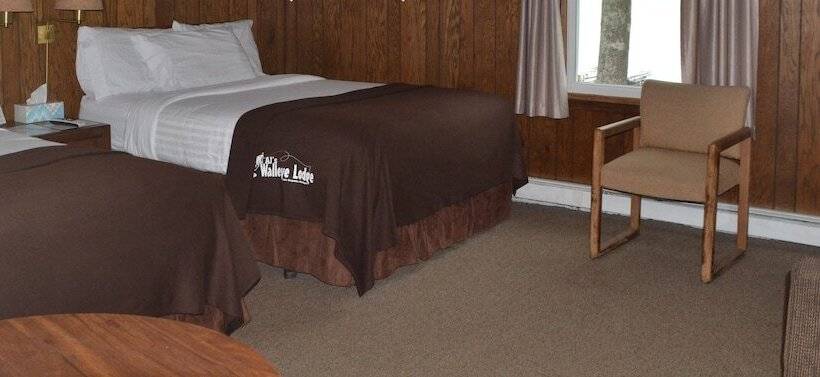 غرفه قياسيه سريرين مزدوجين, Aj S Lodge And Oven