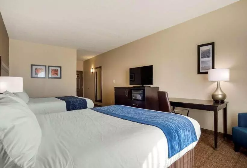 スタンダードルーム, Comfort Inn Greenville I65