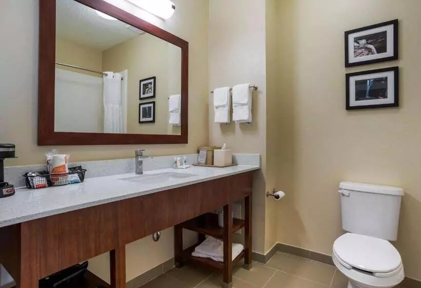 キングサイズベッドのスタンダードルーム, Comfort Inn Greenville I65