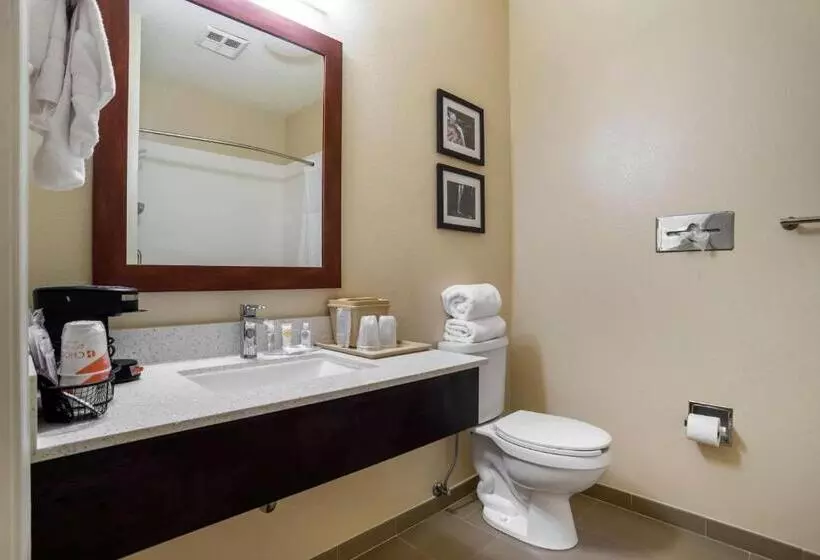 キングサイズベッドのスタンダードルーム, Comfort Inn Greenville I65