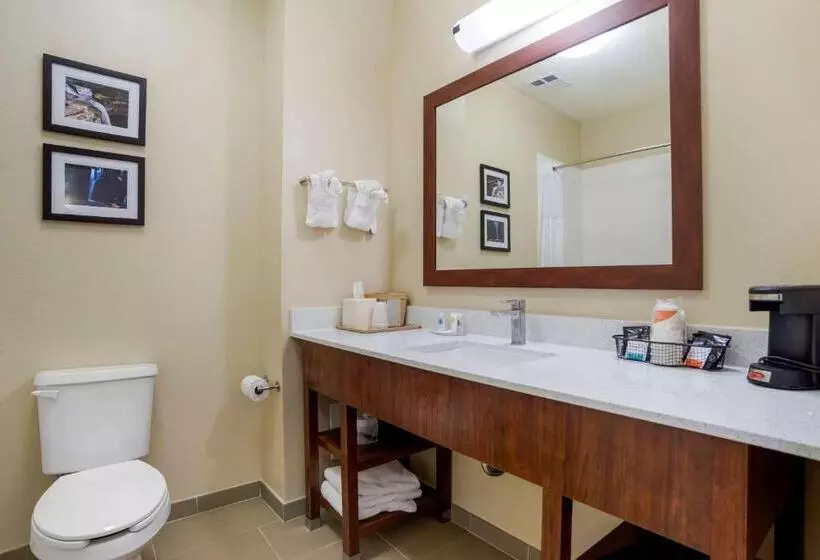 キングサイズベッドのスタンダードルーム, Comfort Inn Greenville I65