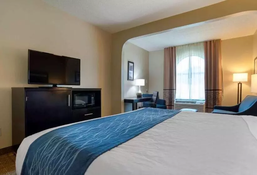 キングサイズベッドのスタンダードルーム, Comfort Inn Greenville I65