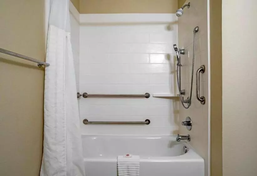 身障者適用キングサイズベッドルーム, Comfort Inn Greenville I65