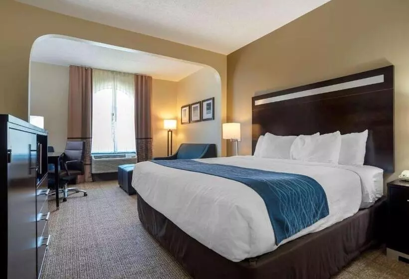 身障者適用キングサイズベッドルーム, Comfort Inn Greenville I65