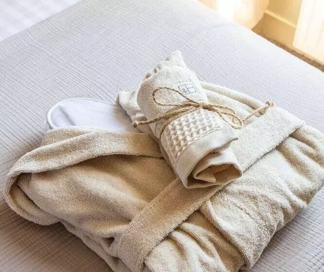 اتاق سوپریور با چشمانداز رودخانه, Hôtel Le Maxime Best Western Signature Collection