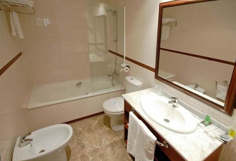 스탠다드 룸, Sercotel Torico Plaza