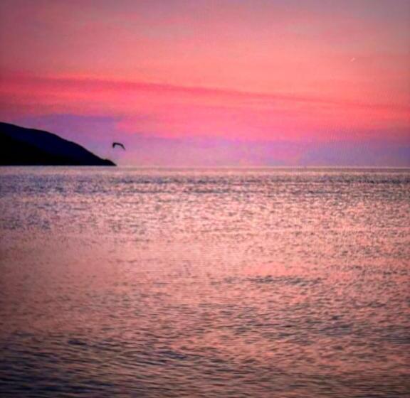 חדר סטנדרט לארבעה נוף לים, Motel Belvédère