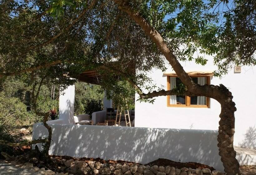 スタンダードバンガロー, Can Vistabella Boutique Resort