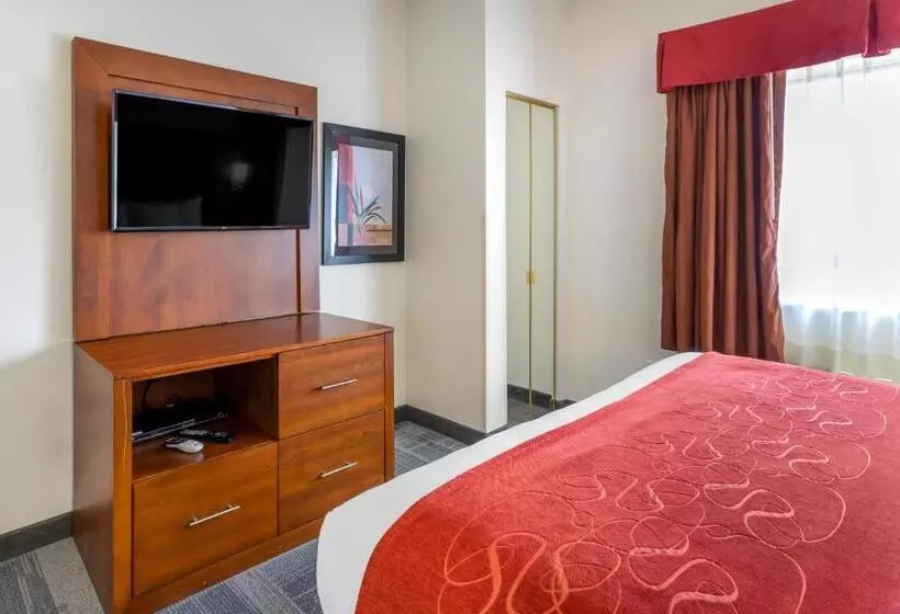 身障者適用スイートルーム, Comfort Suites Denver Tech Center