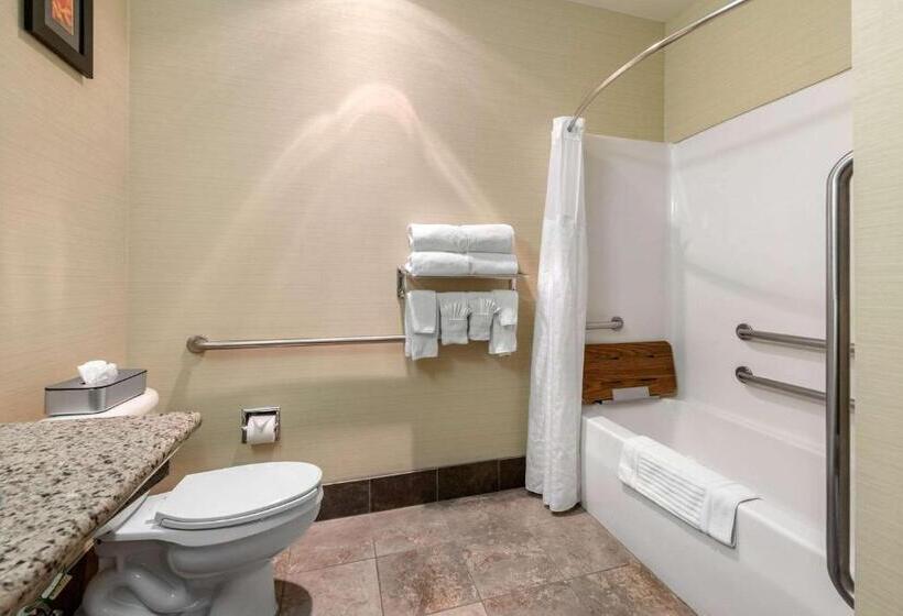 Sviitti Liikuntarajoitteisille, Comfort Suites Denver Tech Center