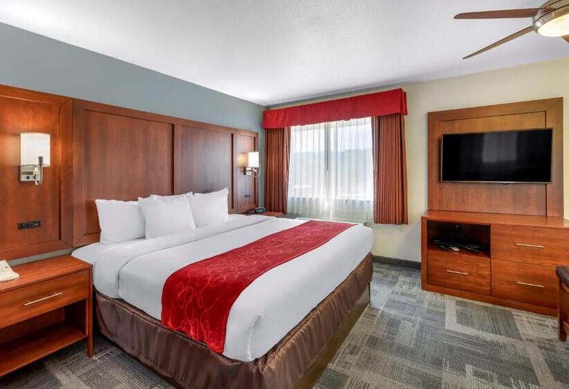 Sviitti Liikuntarajoitteisille, Comfort Suites Denver Tech Center