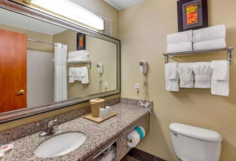 キングサイズベッドのスイートルーム, Comfort Suites Denver Tech Center