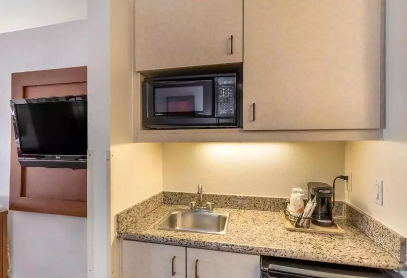 キングサイズベッドのスイートルーム, Comfort Suites Denver Tech Center