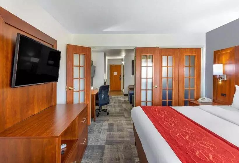 キングサイズベッドのスイートルーム, Comfort Suites Denver Tech Center