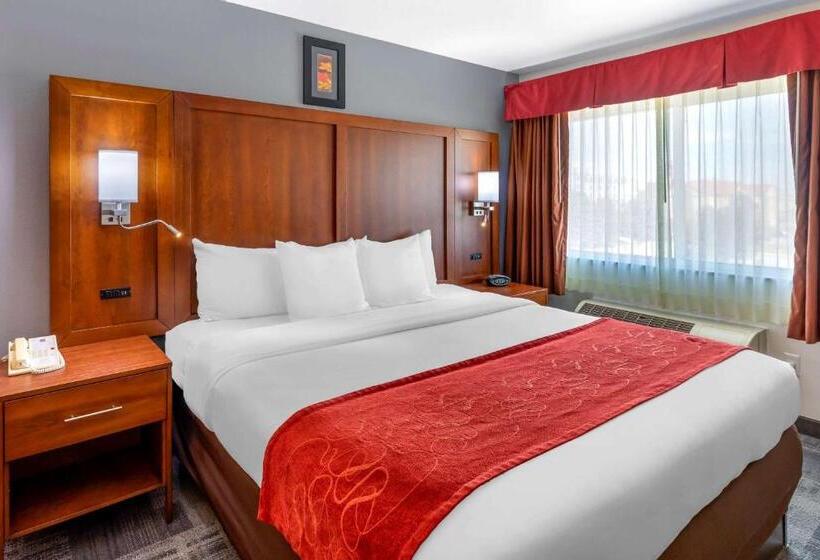 스위트 킹사이즈 침대, Comfort Suites Denver Tech Center